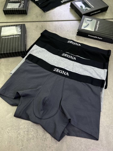 Набор нижнего Zegna